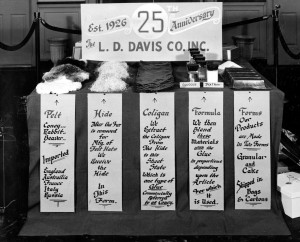 L.D. Davis 25 years, animal glue