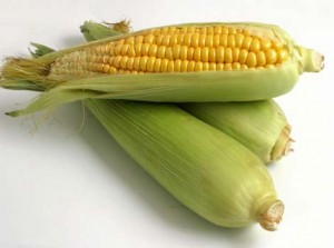 Corn Sugar