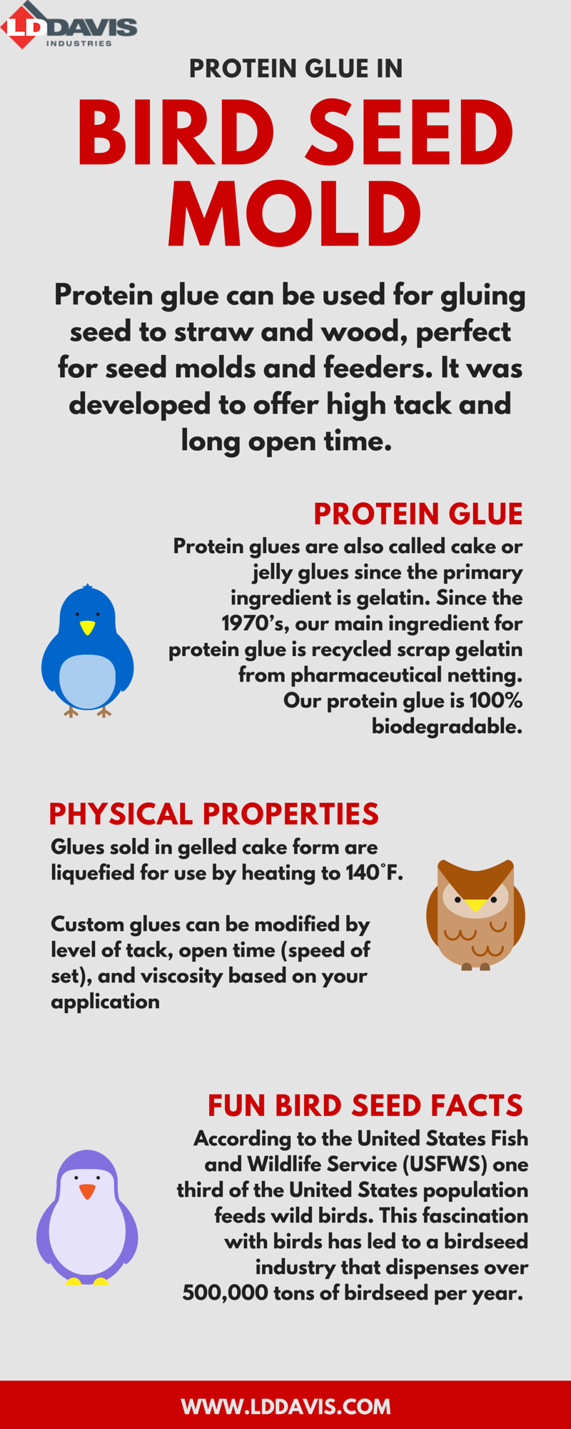 Protein Glue In Bird Seed Molds