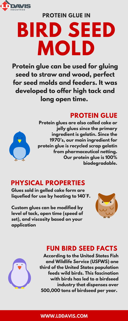 Protein Glue in Bird Seed Molds