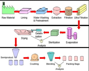 making animal glue.jpg