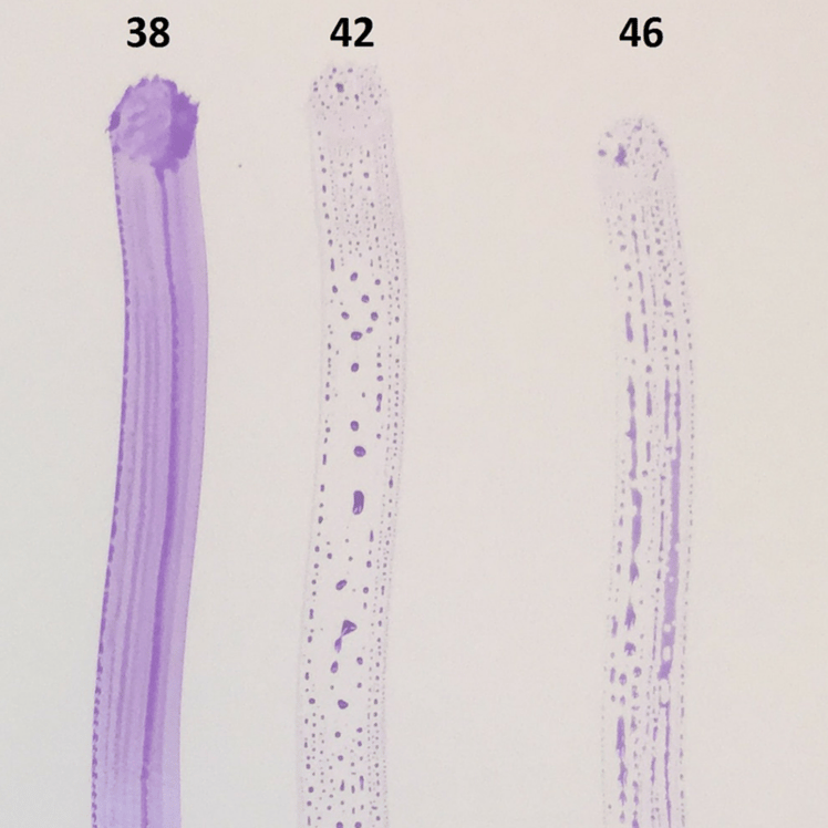 In Depth Look at Dyne Testing