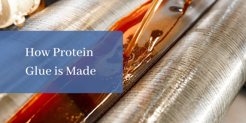 How Protein Glue Is Made: The Strength of Recycled Gelatin
