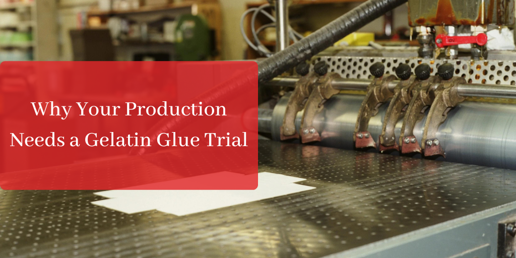 Why Your Production Needs a Gelatin Glue Trial