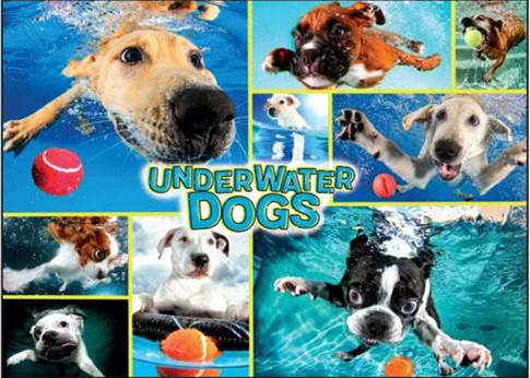Underwater Dogs Puzzle